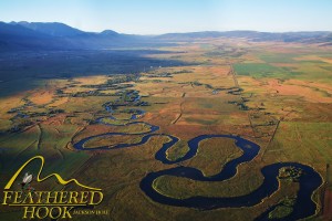 An arial view of the Spring Creek Meadows.  