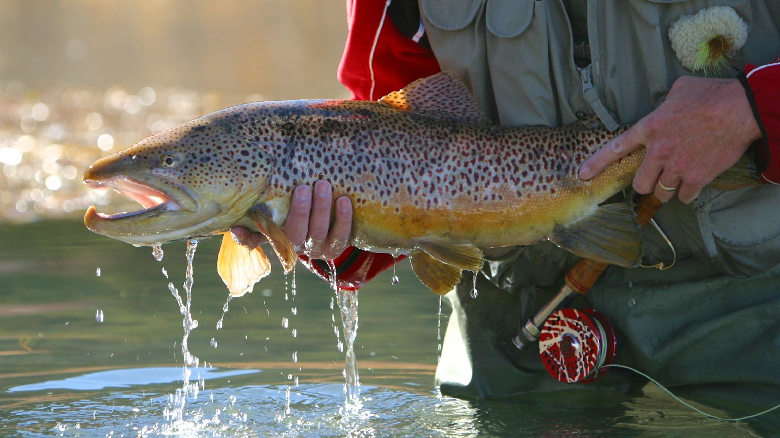 World Class Private Fly Fishing