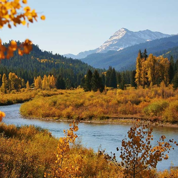 Wyoming Fly Fishing Lodges