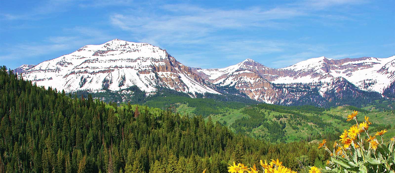 Jackson Hole Summer Activities: Where Adventure Meets Elegance in the Heart of Wyoming