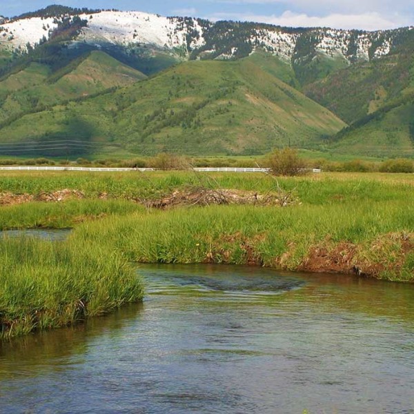 header-spring-creek-meadows