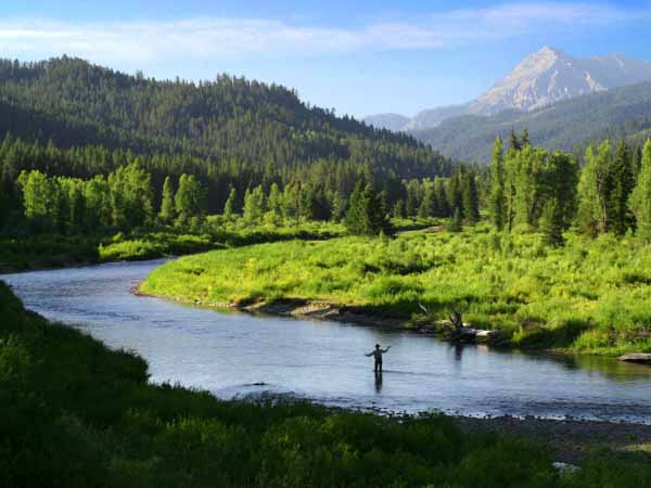 greys river fly fishing wyoming feathered hook of jackson hole