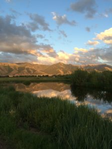 Guided fly fishing jackson hole