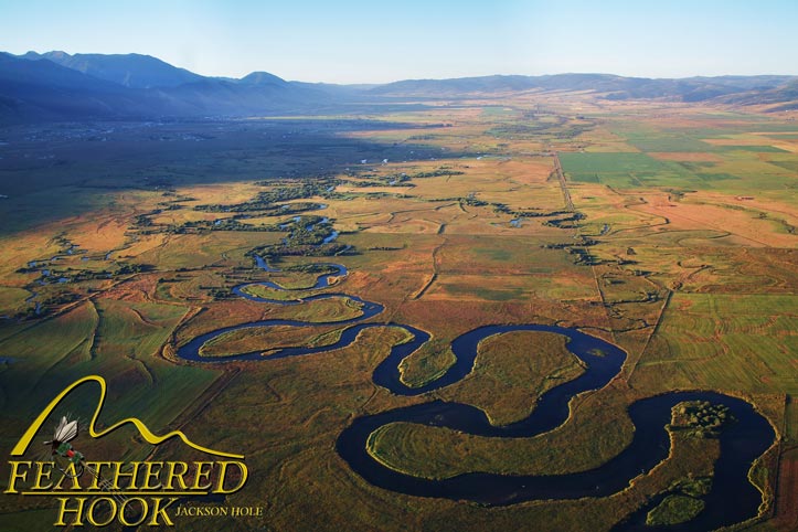 Guided Fly Fishing Trips Jackson Hole