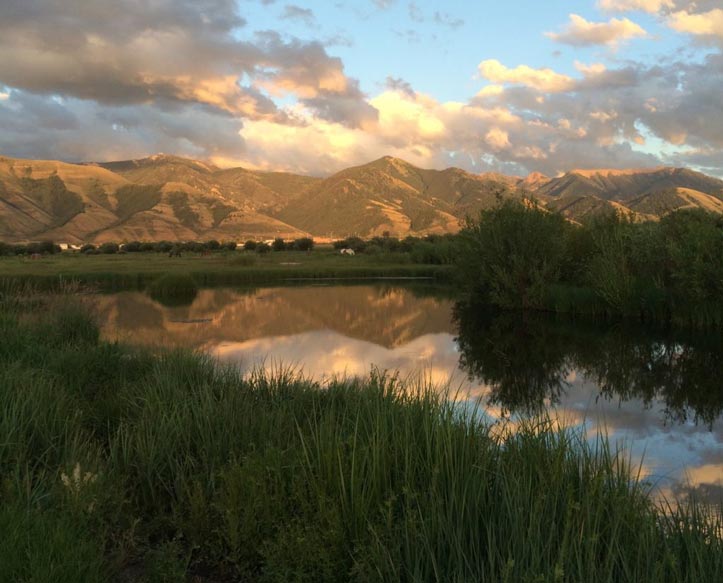 Guided Fly Fishing Jackson Hole