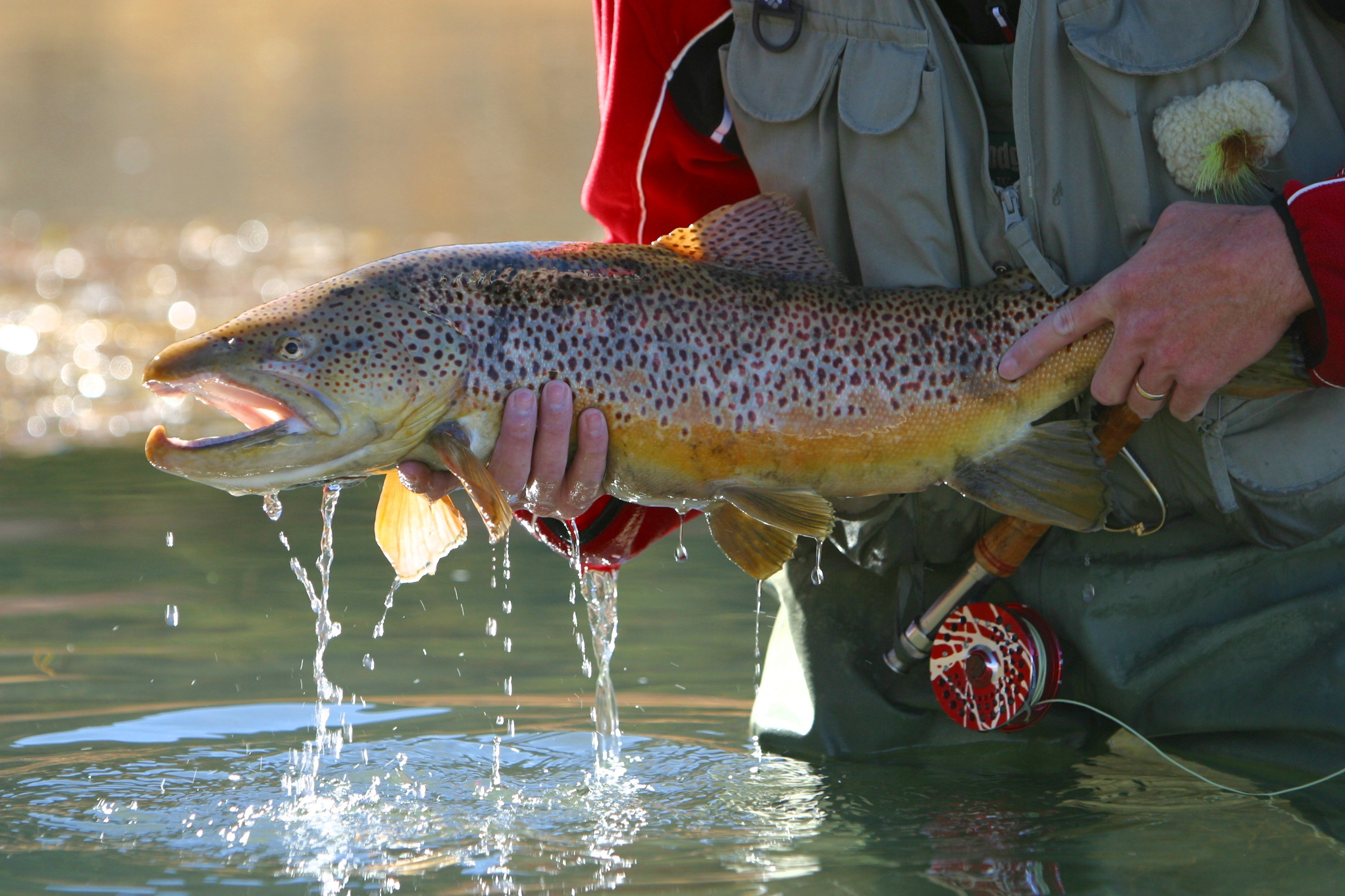 World Class Private Fly Fishing