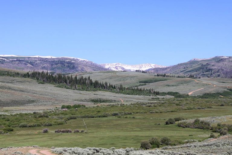 Fish Creek Fly Fishing