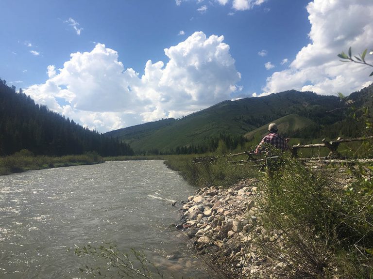 Greys River Fly Fishing