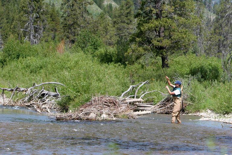 Greys River Fly Fishing