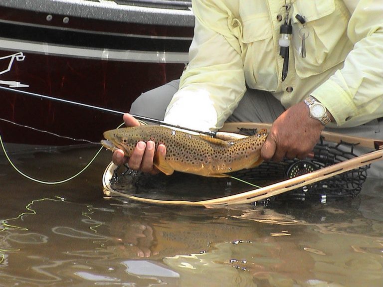 Green River Fly Fishing