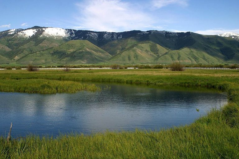 Spring Creeks Fly Fishing