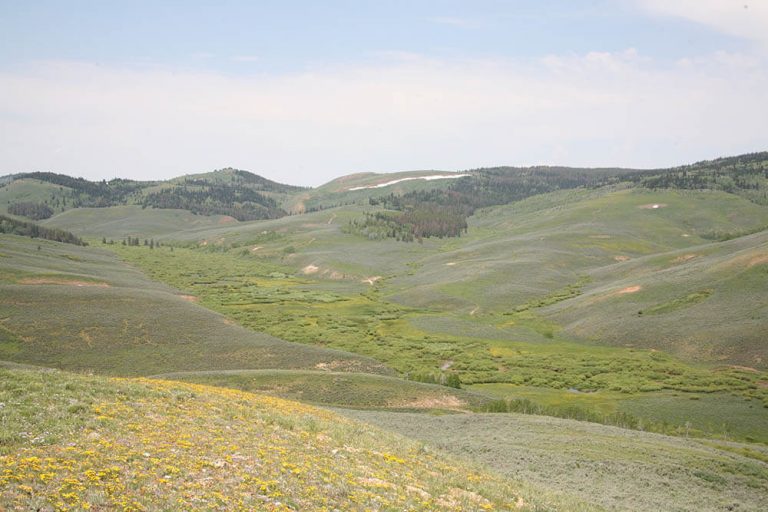 West Fork of The Hams Fly Fishing