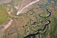 Jackson Hole Fly Fishing Guides
