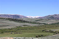Jackson Hole Fly Fishing Guides