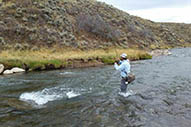 Jackson Hole Fly Fishing Guides