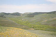 Jackson Hole Fly Fishing Guides